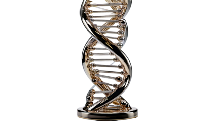 Futuristic Glass and Chrome DNA Helix Sculpture on Minimalist White Background