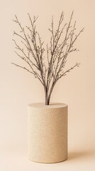 Minimalist Beige Dried Branches in Cylinder Vase