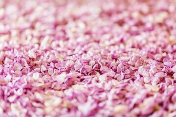Close-up view of many small pink flower petals.