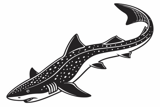 dogfish sihouette black vector