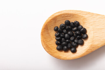 ［野菜の種］アスパラガス（品種　メリーワシントン）