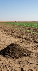 A Pile of Rich Soil in a Dry Agricultural Field Under a Clear Blue Sky