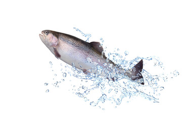 Fische 189