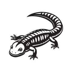 Fototapeta premium tiger salamander vector art illustration