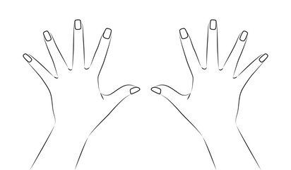 Open Hands - Outline Vector Illustration of Both Palms Raised. © ST Tarntarn
