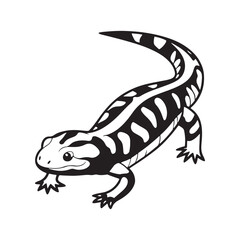 Obraz premium tiger salamander vector art illustration