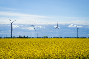 IMGP0617.DNG © Sawomir