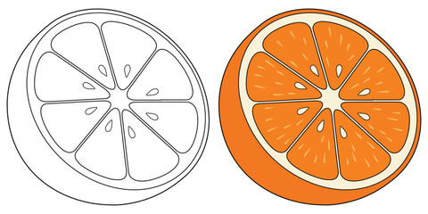 Half Orange Fruits Line Art Vector Outline Illustration Black and White with Coloring Sample
