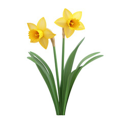 Obraz premium Yellow daffodils with vibrant green leaves against a multicolored striped background