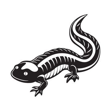 black and white salamander drawing clip art preview