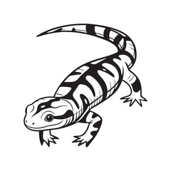 Fototapeta premium tiger salamander vector art illustration