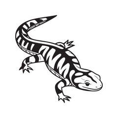 Naklejka premium tiger salamander vector art illustration