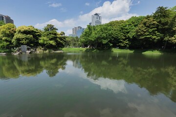 日本庭園の風景