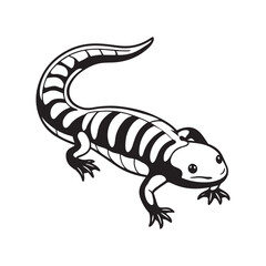Naklejka premium tiger salamander vector art illustration