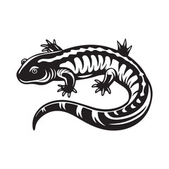 Fototapeta premium tiger salamander vector art illustration