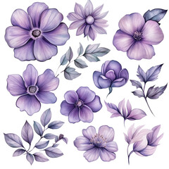 A set of hand-drawn watercolor flowers, featuring a soft purple hue and natural green leaves, isolated on a transparent background (9)