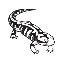 Fototapeta premium tiger salamander vector art illustration