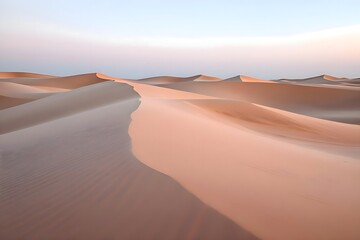 Tranquil Pink Dune Poster in Slate