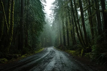 Fotobehang Misty forest road (1) © Pixel Sculptor