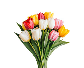 Naklejka premium Colorful Tulip Bouquet Spring Flowers Nature Beauty