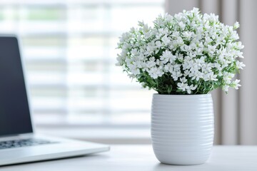 Fototapeta premium White potted flowers on a desk next to a laptop, with soft light coming through window blinds in the background.