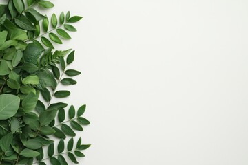 Obraz premium A cluster of fresh green leaves arranged on the left side against a clean white background.