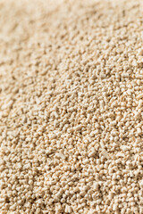 Raw Organic Active Dry Yeast