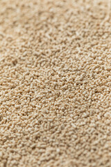 Raw Organic Active Dry Yeast