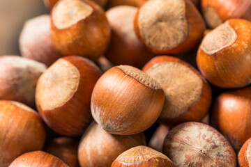 Organic Raw Dry Hazelnuts