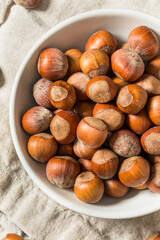 Organic Raw Dry Hazelnuts