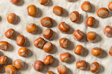 Organic Raw Dry Hazelnuts