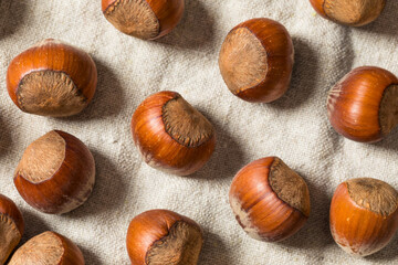 Organic Raw Dry Hazelnuts