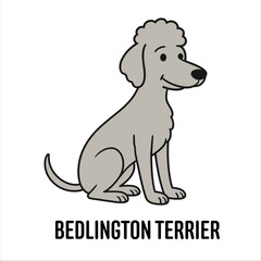 Vector Cartoon Character Illustration Bedlington Terrier Dog Breed