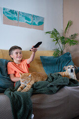 Obraz premium Boy watching tv with cat and dog on sofa: comfortable home entertainment