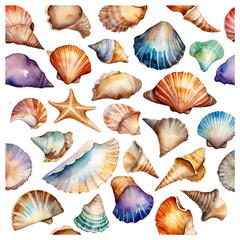 Fototapeta premium Sea shells collection 
