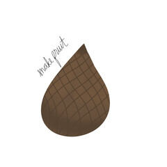 Isometric Illustration of Salak Fruit