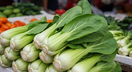 Fototapeta premium Fresh Bok Choy Stacked at Local Vegetable Market