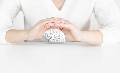 Human Hands Protecting White Brain Model on Clean White Background