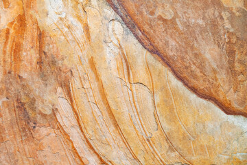 Rustic Stone Background. Detailed texture from sedimentary rock surface.