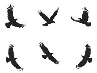 Obraz premium Eagle in Flight Silhouette – Majestic Bird Vector Illustration