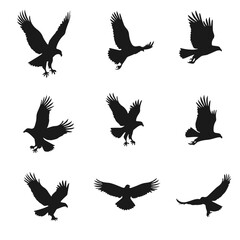 Obraz premium Eagle in Flight Silhouette – Majestic Bird Vector Illustration