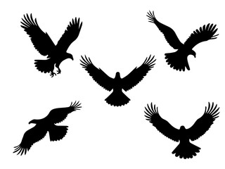 Obraz premium Eagle in Flight Silhouette – Majestic Bird Vector Illustration