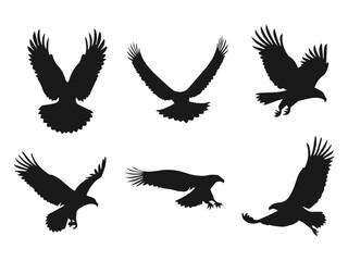 Fototapeta premium Eagle in Flight Silhouette – Majestic Bird Vector Illustration