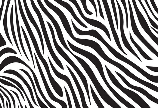 Beautiful Zebra background Pattern