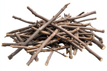 A pile of small, dry twigs and branches.  The  sticks are various lengths and thicknesses,  arranged haphazardly in a cluster.  They are light brown and gray in color, showing some natural wood grain