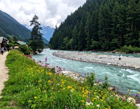 Tirthan Valley is a tranquil and less-crowded nature escape near Kullu, perfect for fishing, hiking, and relaxation.


