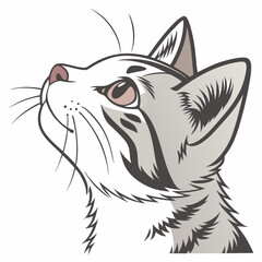 Obraz premium vector illustration of a cat