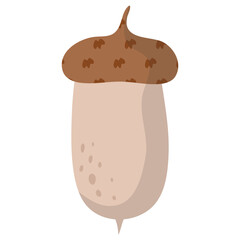 Acorn Illustration Set 