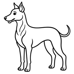 Obraz premium black and white dog