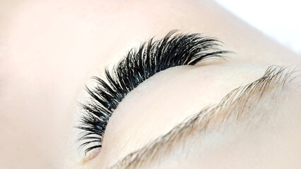 .Close up of female eye with eyelash extensions ,eyelash extension procedure.
